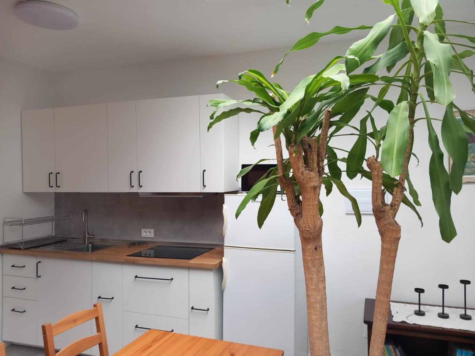 Vivienda Vacacional Casa Rosi Фронтера Екстер'єр фото